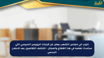 نائب في مجلس الشعب يعلن عن قرارات الرئيس السيسي التي ستحدث نهضة في هذا القطاع والمجال – اكتشف التفاصيل بعد الإعلان الرسمي